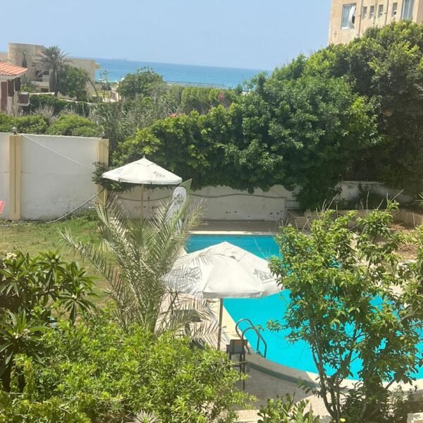 037e0881-b0ba-424c-ab37-87da47aea9a1